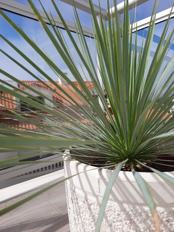 Sitius 5b - New Seaview With Rooftop Terrace In Historical Centre Sitio Da Apartament